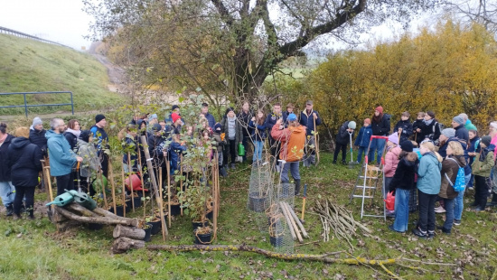 Solch ein Gewimmel möcht ich sehn Foto: Heiko Thonig