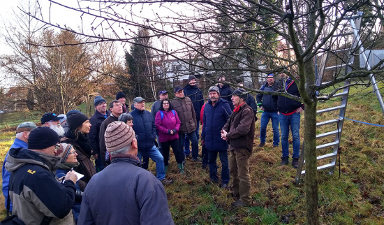 Obstbaumschnitt am Ritterschloss Taucha Foto: Heiko Thonig