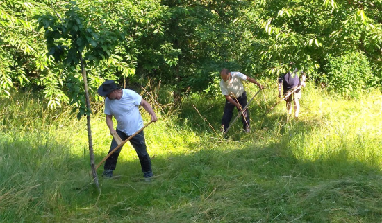 Sensenkurs des NABU Partheland am Schloss Taucha Foto: Heiko Thonig