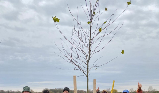 Kleine Truppe - große Bäume Foto: Heiko Thonig