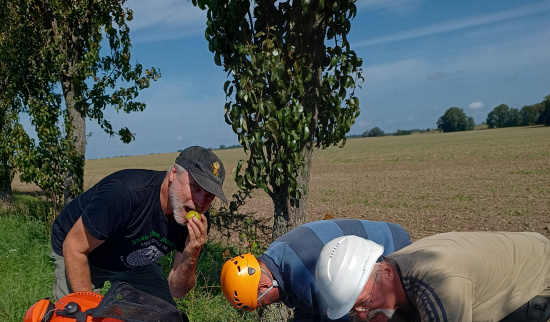 Bitte nur mit Schutzhelm schütteln Foto: Heiko Thonig