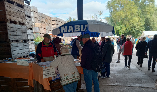 Nistkastenbau Foto: Heiko Thonig