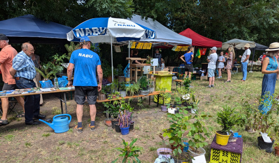 Aufbau Pflanzenbörse Foto: Jens Frenkel
