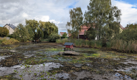 Der Dorfteich ist leer Foto: Jens Frenkel