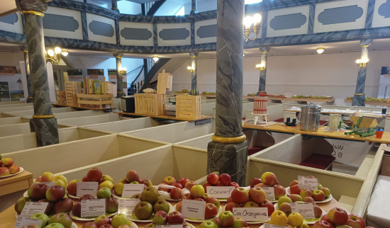 Äpfel und Birnen wohin man sieht Foto: JensFrenkel